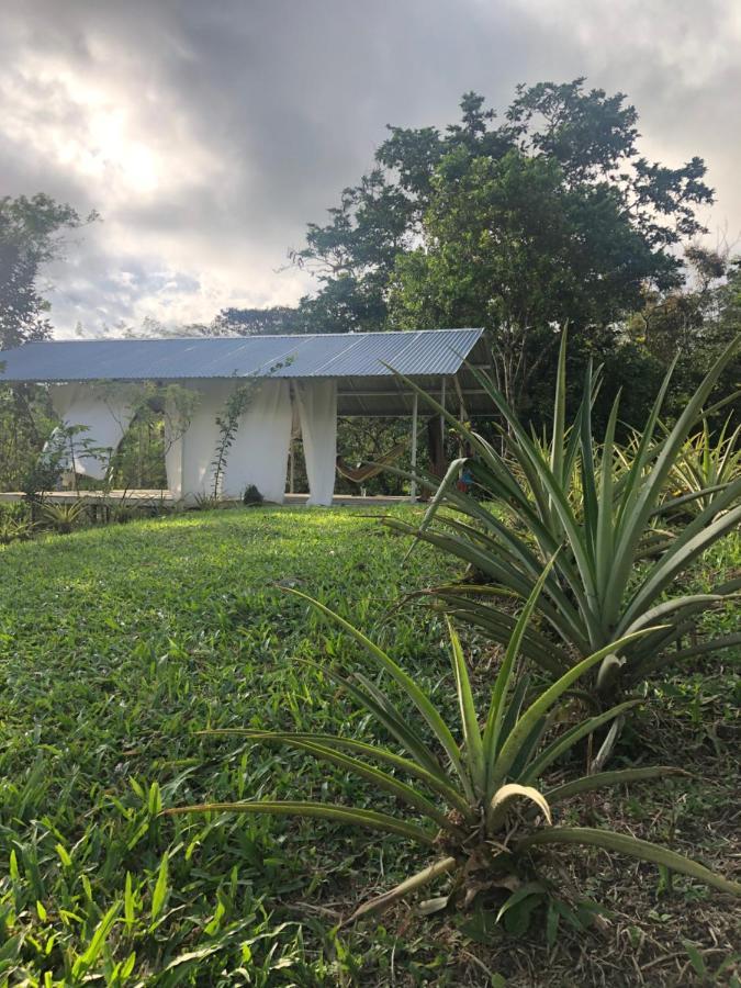 Soursop Hostel Cueta Exterior photo
