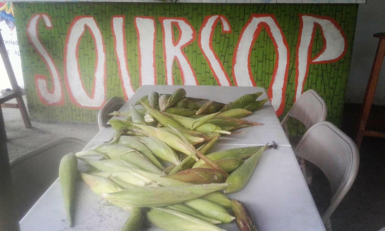 Soursop Hostel Cueta Exterior photo